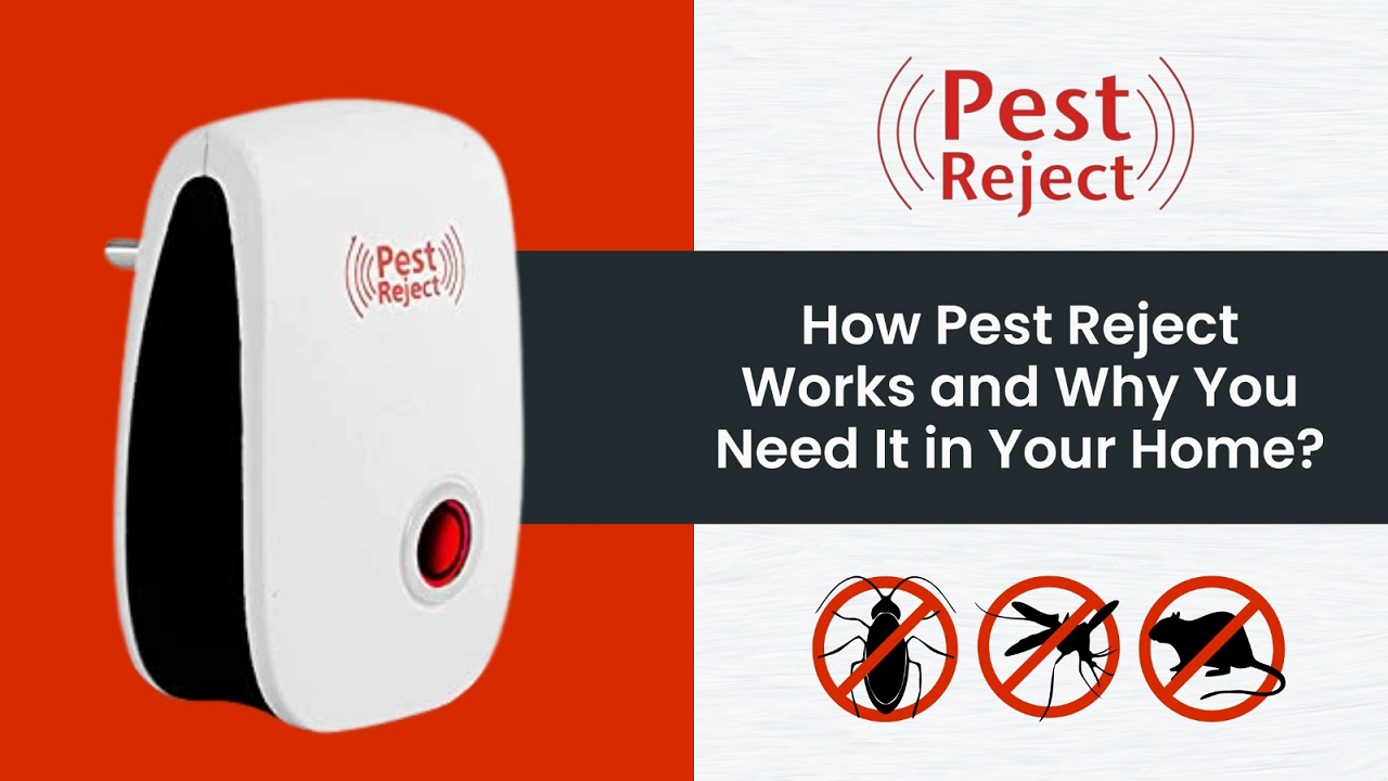 How Pest Reject Works and Why You Need It in Your Home