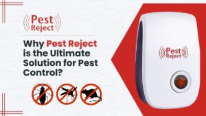 Why Pest Reject is the Ultimate Solution for Pest Control