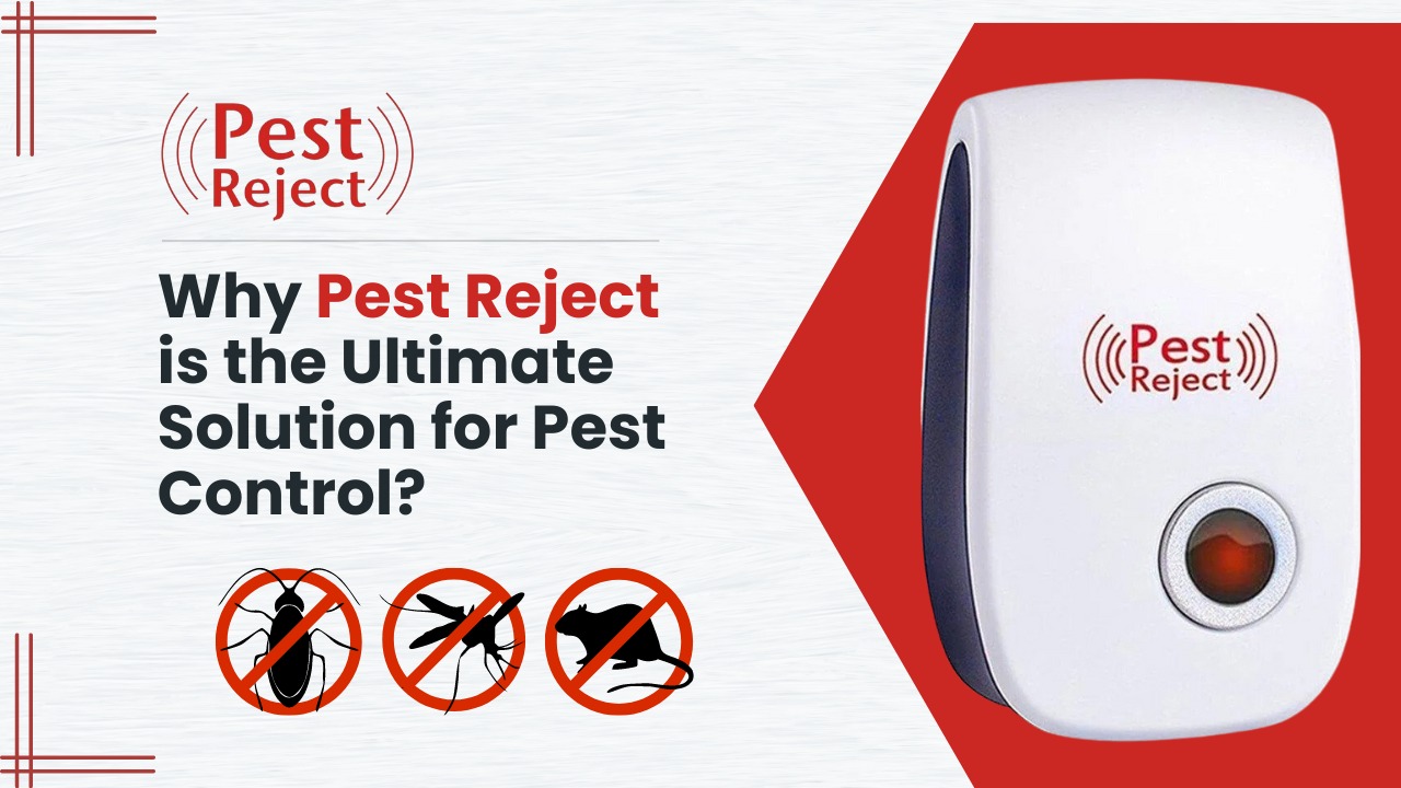 Why Pest Reject is the Ultimate Solution for Pest Control